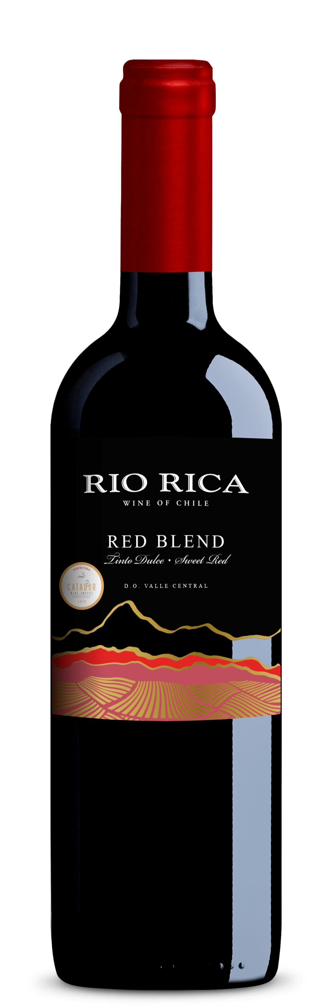 VINHO CHILENO RIO RICA RED BLEND TINTO 750ML